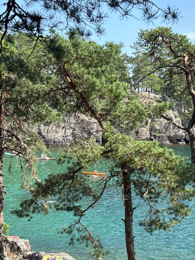 This image depicts a serene waterside scene, framed by the branches of pine trees, offering a glimpse of what appears to be a natural cove or bay. The water is a clear, vibrant turquoise, with gentle ripples suggesting a calm environment. In the middle ground, a person is visible in a bright orange kayak, paddling across the water. Further to the left, another person is on a paddleboard, also navigating the water. Rocky outcrops and cliffs rise from the water's edge in the background, densely covered with more pine trees, creating a rugged and natural landscape. The sky above is a clear, bright blue, indicating pleasant weather.
While the image does not specifically show elements that would pinpoint it to Karlsborg, Sweden, the general aesthetic of rocky coastlines and pine forests is consistent with some of the natural areas surrounding the city. Karlsborg is situated on the shores of Lake Vättern, which is known for its clear waters and surrounding natural beauty, often featuring rocky shores and forests. Therefore, this scene could plausibly be located in a natural area near Karlsborg, such as a bay or island accessible from the lake.