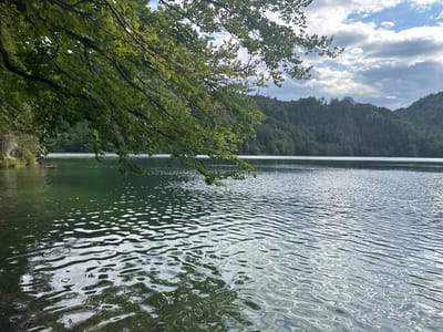 A wide shot of a serene lake in Kufstein, Austria, framed by lush green trees. In the foreground, a tree branch hangs over the water, its leaves casting a gentle shadow. The lake's surface is dappled with sunlight, creating a mesmerizing pattern of ripples and reflections. In the background, rolling hills covered in dense forest rise towards a cloudy sky. The overall impression is one of tranquility and natural beauty.