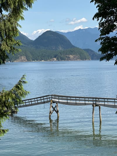 This is an eye-level, medium shot of a wooden pier extending into a calm, blue body of water. The pier is supported by wooden pilings that are partially submerged and encrusted with barnacles. The water is slightly rippled, reflecting the blue sky and distant, tree-covered mountains. In the foreground, the branches of a cedar tree hang over the left side of the image, framing the scene. In the background, several mountain ranges are visible, with some peaks dusted with snow. The sky is a clear blue with scattered white clouds. The scene appears to be located in Belcarra, Canada, a scenic coastal municipality.