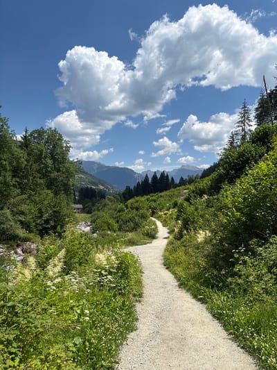 This is a landscape photograph taken on a sunny day with a bright blue sky filled with fluffy white clouds. A narrow, winding gravel path dominates the foreground, curving through lush green vegetation. The path leads the viewer's eye into the distance, towards a valley filled with trees and mountains. To the left of the path, a small stream or river flows, bordered by rocks and more greenery. In the middle ground, nestled amongst the trees, a small, light-colored building can be seen. The background features a range of majestic, tree-covered mountains under the expansive sky. The scene is serene and appears to be a hiking trail in a mountainous region. The specific location within Ratschings - Racines, Italy is a natural landscape, likely a park or hiking area. There are no people or animals visible in the image, and no specific actions or interactions are depicted. The environment is characterized by its natural beauty, with abundant flora and imposing mountain vistas.