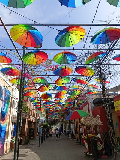 This is a photograph of an outdoor pedestrian street in Puerto Plata, Dominican Republic. The street is lined with buildings, including shops and an ATM. The most prominent feature is a canopy of colorful, rainbow-patterned umbrellas suspended overhead. Some of these umbrellas are large, while others are smaller. String lights are also visible, interspersed among the umbrellas.
In the foreground, the paved walkway shows some shadows cast by the umbrellas. There are also potted plants and a food cart with a thatched roof. A few people are walking down the street, dressed in casual attire. One of the buildings on the left features a large, colorful mural. Bare tree branches weave through the upper portion of the scene, creating a contrast with the vibrant umbrellas. The sky is visible through the gaps in the umbrellas, indicating it is daytime.