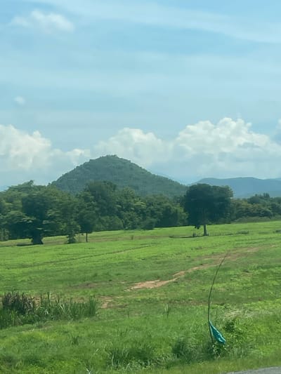 The image depicts a lush, green landscape with a prominent, tree-covered conical hill in the background. In the middle ground, a line of dense green trees separates the foreground from the hill. The foreground consists of a vast, undulating green field with a few scattered trees. A thin, dark pole with a tattered blue flag attached to it stands in the right foreground. The sky above is a pale blue, dotted with fluffy white clouds. The scene appears to be a rural or natural setting, likely in Song Luy, Vietnam, given the tropical vegetation and the distinctive topography. There are no people or animals visible in the image.