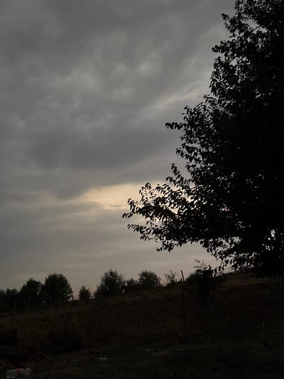The image depicts a dimly lit outdoor scene, likely in a rural area of Жібек жолы ауылдық округі, Kazakhstan. A silhouetted tree with dense foliage dominates the right side of the frame, its leaves obscuring a patch of the overcast sky where a faint, diffused light filters through. The sky is filled with heavy, gray clouds, suggesting either dawn, dusk, or a stormy day.

The lower portion of the image shows a dark, uneven terrain, possibly a field or unkempt ground. Several scattered trees with dark canopies are visible on a slightly elevated ridge in the background, silhouetted against the sky. A primitive fence, composed of wire and posts, runs horizontally across the mid-ground. In the foreground, on the ground, there are a few unidentifiable objects, including what appears to be a plastic bottle and some debris, contributing to a somewhat neglected atmosphere. There are no people visible in the frame. The overall impression is one of muted light and natural elements, with a hint of human presence through the discarded items and fence.
