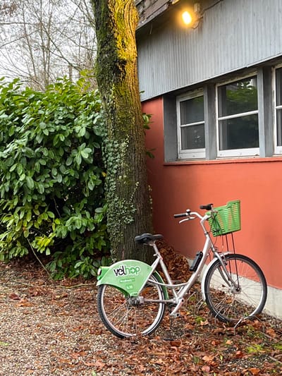 A silver Vélhop rental bicycle, displaying "Strasbourg.eu" and the number "14.183" on its green rear fender, stands on a ground of light brown gravel mixed with scattered brown autumn leaves. The bicycle features a bright green front basket, a black seat, and a deployed kickstand, resting near partially visible metal bike racks on the ground. It is positioned adjacent to a tree trunk heavily covered in green moss and ivy. To the tree's left, a dense, dark green leafy hedge is visible. The tree abuts a building with a reddish-orange lower wall and two white-framed windows with grey sills. Above the windows, the building transitions to a grey corrugated metal siding, from which an illuminated yellow light fixture extends. Bare tree branches are visible against an overcast sky in the upper left background. The scene is located in Montigny-lès-Metz, France.