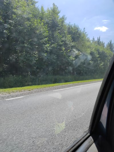 A road runs alongside a dense green forest under a bright blue sky with scattered clouds. The perspective is from inside a vehicle, with the right side of the car's window frame visible in the foreground. The road is asphalt with a white line marking its edge. The forest is thick with lush green foliage, and the ground beside the road is covered in grass. The sunlight creates reflections on the car window, and some dust or small particles are visible in the air. There are no people or animals visible in the image. The scene appears to be a scenic drive through a natural landscape, possibly in the rural outskirts of Davydovskaya, Russia, given the context.