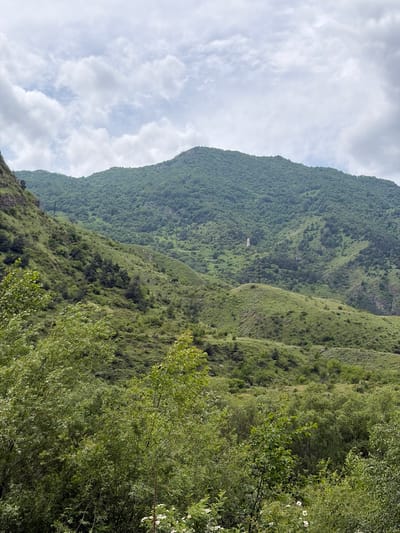 The image depicts a lush, green mountainous landscape under a cloudy sky. The foreground is filled with dense foliage and trees, with some white flowers visible at the bottom. The middle ground shows rolling hills covered in grass and scattered trees, leading up to a larger, tree-covered mountain in the background. A small, light-colored structure, possibly a tower or monument, is visible on the side of the distant mountain. The scene appears to be a natural, outdoor environment, devoid of any human figures or man-made structures apart from the distant building. The location is identified as Nizhnyaya Unal, Russia.