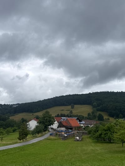 This image depicts a rural landscape in Wilhelmsfeld, Germany, under a dramatic, overcast sky. The foreground is dominated by a vibrant green, neatly mown lawn with tall grass at its edges. A paved road, curving from the lower left towards the center-right, bisects the midground.

To the left of the road, a white house with a red tiled roof stands amidst lush green grass and trees. Further down the road, a cluster of buildings with red tiled roofs forms a small settlement. These buildings appear to be residential or farm structures. Piled stacks of firewood, some covered with tarps, are visible near some of these buildings. Mature trees with full green canopies are scattered throughout the scene, contributing to the pastoral setting.

The background is characterized by rolling hills covered in dense, dark green forest. The sky above is filled with heavy, grey clouds, suggesting an impending storm or a gloomy day. The overall impression is one of serene, rustic countryside on a somber day. There are no people visible in the image.