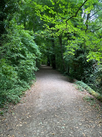 The image depicts a dirt path in a wooded area, likely a park or forest. The path stretches into the distance, flanked on both sides by lush green foliage and trees. Sunlight filters through the canopy, creating dappled lighting on the path. The location is near Boudry, Switzerland. No people or specific subjects are visible, only the path and its surroundings. The interaction is between nature and a constructed path. The environment is dense with vegetation, typical of a forest setting.