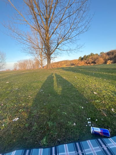 The scene depicts an outdoor grassy area in Beli Brod, Bulgaria, illuminated by low-angle sunlight under a clear blue sky. A large, leafless deciduous tree stands prominently in the mid-ground, its bare branches reaching upward. To the left, a line of similar bare trees recedes into the distance. To the right, a sun-drenched hillside covered in trees and shrubs, some appearing coniferous and showing autumnal coloration, rises against the horizon.

In the foreground, the green grass is visible, interspersed with small white debris, possibly flower petals, and scattered dry leaves or twigs. Two distinct, elongated human-like shadows are cast across the grass from the mid-ground towards the lower-center of the frame, indicating the presence of two individuals standing out of frame to the left, facing generally towards the right. In the bottom right corner, a section of a blue, white, and black plaid blanket is visible. Adjacent to the blanket, a blue and silver Red Bull energy drink can, bearing red and white branding, lies horizontally on its side on the grass.