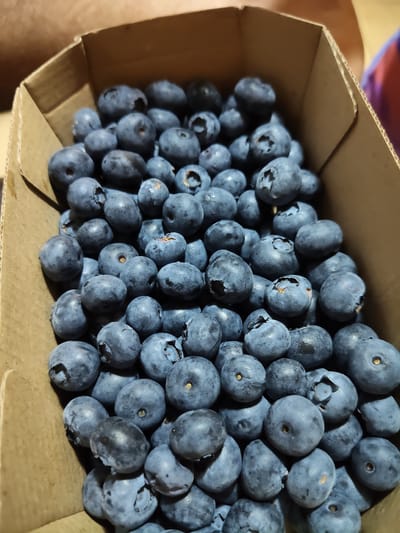A high-angle, close-up shot shows a cardboard box filled with fresh blueberries. The box is brown and appears to be made of corrugated cardboard. The blueberries are plump and a deep blue color, with some showing lighter blue-grayish bloom. Many of the blueberries have a small stem remnant visible, and some have the characteristic indentation at the top. The lighting suggests an indoor setting, possibly natural light coming from a window or overhead lighting, casting subtle shadows. The texture of the blueberries is smooth and slightly matte. The scene is focused entirely on the fruit and its container, with the background blurred and out of focus, hinting at an out-of-focus environment, possibly a home or kitchen. There is no visible text in the image. The overall impression is one of freshness and abundance.