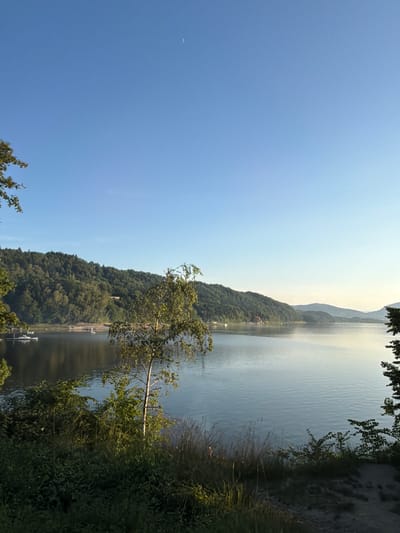 The image depicts a serene landscape with a wide expanse of calm water, likely a lake, stretching into the distance. The water surface is gently rippled, reflecting the pale sky and the lush green hills that flank its shores. The hills are densely covered with trees, creating a verdant backdrop that slopes down towards the water.
On the right side of the image, the bank is covered in thick vegetation, including grasses and bushes, with some darker foliage suggesting a wooded area. A path or trail of light-colored gravel is also visible near the edge of the water, hinting at a recreational area.
In the water, several small white structures, possibly docks or small boats, can be seen along the shoreline of the forested hills. A lone tree with delicate branches and green leaves stands in the foreground, extending over the water.
The sky is a clear, bright blue, with a soft gradient towards a lighter hue near the horizon, suggesting it is late afternoon or early evening. A faint crescent moon is visible in the upper left portion of the sky.
The overall mood of the image is tranquil and peaceful, capturing a moment of natural beauty and quietude in a lakeside setting. There is no visible text in the image. The location context is Lipie, Poland.