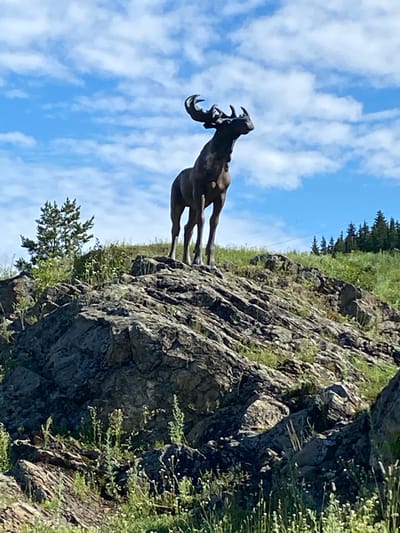 A bronze statue of a moose stands atop a rocky, grassy incline under a partly cloudy blue sky. The moose statue is dark brown and depicted in profile, facing towards the right with its head and antlers raised. The statue is positioned on a rugged, gray rocky outcrop covered with green grass and scattered small white wildflowers. A lone, small evergreen tree is visible to the left of the moose statue. In the background, a line of dark green coniferous trees forms a horizon against the sky. The scene appears to be outdoors in a natural environment, possibly a park or a roadside scenic overlook. The location is identified as Nizhnie Ser'gi, Russia.