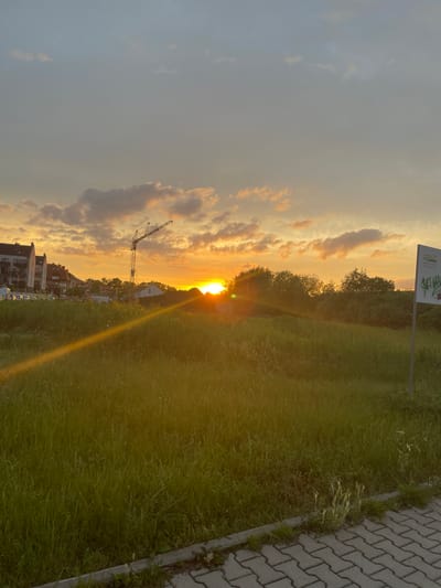 This is a landscape image of a sunset with a construction crane in the background. The scene is set in Wysoka, Poland.
In the foreground, there is a grassy field with scattered weeds and a paved walkway. The grass is green and appears to be freshly mown in some areas, with some taller blades protruding. The walkway is made of interlocking gray pavers.
In the midground, there is a mound of earth covered in grass and vegetation, with a line of trees behind it. To the left, there are several residential buildings with red-tiled roofs and white facades, characteristic of suburban architecture. Some parked vehicles are visible in front of the buildings. A tall construction crane with a yellow boom is prominently positioned near the center of the image, its jib extending upwards.
The background features a vibrant sunset with the sun positioned just above the horizon, casting a warm orange glow and lens flare across the scene. The sky is a gradient of pale blue at the top, transitioning to yellow and orange near the horizon, with scattered clouds tinged with pink and gold.
A white sign with green lettering and graffiti is visible on the right side of the image. The overall impression is one of a developing urban or suburban area at the end of the day. There are no people visible in the image.