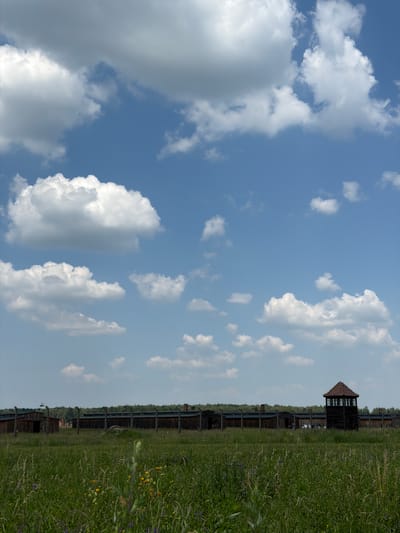 This media file shows a scene with a watchtower and wooden structures in the distance, surrounded by a grassy field. The sky is blue with scattered white clouds. In the foreground, the field is dense with green grass and some wildflowers, including yellow and purple blooms. The wooden structures appear to be part of a historical site, possibly a camp or settlement, with a tall watchtower featuring a pyramidal roof and windows. Several figures are visible near the structures, but their activities are not clear. The overall impression is of a bright, sunny day. The image is oriented vertically, with the sky occupying the majority of the frame on the left and the field and structures on the right. The provided location context suggests this is Brzezinka, Poland, which is associated with the Auschwitz-Birkenau Memorial and Museum.