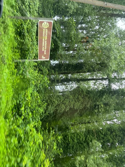 The image depicts a sign for the Kobuleti National Park, located in the village of სუფსის თემი, Georgia. The sign is rectangular with a brown background and a white border. The text on the sign is in Georgian and reads "Kobuleti National Park" along with an arrow indicating direction. The sign is partially obscured by lush green foliage, suggesting it is situated in a natural or wooded area. The image appears to be taken from a moving vehicle, as indicated by the motion blur present in the background.