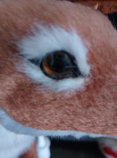 A close-up, slightly blurry photograph shows the eye of a plush toy, likely a reindeer or similar animal. The eye is dark with a reflective brown pupil. A white, fluffy area surrounds the eye, blending into the reddish-brown fur of the toy's face. The texture of the fur is visible, appearing soft and plush. The background is out of focus and appears dark. There are no people visible in the image. The image does not contain any information that would allow for the determination of its location in the city of Wedel, Germany.