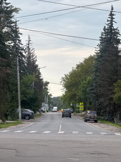 The image depicts a straight, asphalt road in the city of Dedovsk, Russia, lined with mature coniferous and deciduous trees. The sky is overcast. Several cars are visible on the road, including a dark SUV on the left, a black car in the middle distance, and a silver Suzuki SUV on the right. Road markings, including a pedestrian crossing and lane dividers, are clearly visible. Traffic signs, including a pedestrian crossing sign and a speed limit sign of 20, are posted on the right side of the road. There are power lines overhead. The road surface shows signs of wear with some potholes.