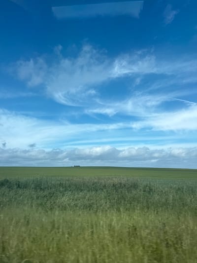 The image depicts a vast, open field of green grass under a bright blue sky filled with wispy white clouds. In the distance, a small cluster of trees is visible on the horizon. The foreground shows a blur of tall green grass, suggesting motion, possibly from a moving vehicle. The overall scene conveys a sense of rural tranquility and open space. The location is identified as Makarovo, Russia.