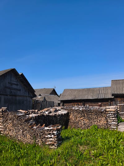 The image depicts a rural scene under a clear blue sky, likely in the city of Zhukovo, Russia. In the foreground, a substantial amount of neatly stacked firewood is visible, predominantly of various wood types, including birch with its characteristic white bark. The firewood is piled in organized stacks, some reaching a considerable height. Behind the firewood, several weathered wooden structures, likely rural houses or outbuildings, are present. These buildings have aged wooden walls and roofs covered with corrugated material. The architectural style suggests a traditional rural setting. Lush green grass and vegetation grow in front of and around the firewood stacks, indicating a natural, uncultivated environment. The overall impression is one of a functional, rural homestead, possibly in a village or on the outskirts of Zhukovo.