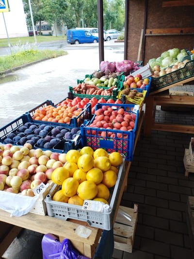 The image depicts an outdoor market stall in Vileyka, Belarus, featuring a variety of fresh produce. In the foreground, a wooden table displays crates of fruits. From left to right, there are peaches, followed by a crate of yellow lemons. Behind these, a blue plastic crate is filled with dark purple plums. Next to the plums, another blue crate overflows with apricots. Further back, more crates hold produce, including tomatoes, carrots, beets, cucumbers, onions, and cabbages. In the background, a street is visible with a blue van and cars, and trees and buildings line the roadside, suggesting an urban setting. The market appears to be set up under a wooden canopy or shelter, with a brick-tiled floor visible in the right portion of the image.