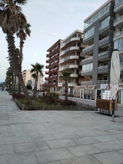 The image shows a street scene in Canet-en-Roussillon, France, likely on the promenade. In the foreground, a wide, paved sidewalk is visible, made of large, grey stone tiles. To the left, a row of tall palm trees with textured trunks and dry fronds line the sidewalk, casting shadows. Beyond the palm trees, a few people are walking, dressed casually.

In the background, a series of multi-story buildings are situated along the street. These buildings have a modern architectural style, with balconies featuring curved white railings and some balconies enclosed with glass. One building is predominantly grey, while another has a reddish-brown facade with white curved elements. Several storefronts are visible at street level, with signs in French indicating businesses such as "Peyrot," "UNE HISTOIRE DE PAINS...", and "CARRE IMMO."

A low wooden fence separates the sidewalk from a planter area with green and reddish foliage and small palm trees. To the right of the image, a large, folded white umbrella or awning is leaning against a stand, and a display of wooden panels is also visible. The sky is a pale blue with some wispy clouds. The overall impression is a sunny day in a coastal town with a pedestrian-friendly promenade.