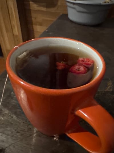 The image shows an orange mug filled with dark brown liquid, likely tea. There is a tea bag submerged in the liquid, with its string hanging over the edge of the mug. Two small, red pieces of what appear to be fruit, possibly raspberries, are floating in the tea near the tea bag. The mug is on a dark, textured surface, possibly a wooden table. In the background, out of focus, is a grey plastic container and a wooden wall. The scene is indoors. There is no indication of the location being in Tandzia, Georgia.