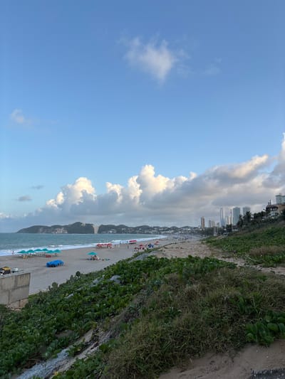 The image captures a panoramic view of Ponta Negra beach in Natal, Brazil, under a partly cloudy blue sky. The foreground features a sandy slope densely covered with green, low-lying vegetation and scattered larger plants, with a visible dirt path extending towards the right. A grey concrete structure is partially visible on the lower left.
The midground is dominated by a wide, sandy beach populated by numerous individuals. Small groups of people are scattered along the shore and further back on the sand. Various objects are distributed across the beach: numerous open beach umbrellas in shades of blue, green, and red; accompanying beach chairs; and several larger blue tarpaulins or covers lying directly on the sand. The ocean borders the beach on the left, displaying light to moderate waves breaking near the shoreline.
In the background, the distinctive Morro do Careca, a large sandy dune with a partially vegetated crest, rises prominently from the coastline on the far left. Further along the coastline to the right, a densely developed urban area is visible, characterized by multiple high-rise buildings and skyscrapers against a vegetated hillside. The sky above is light blue with scattered white cumulus clouds, concentrating towards the horizon.
