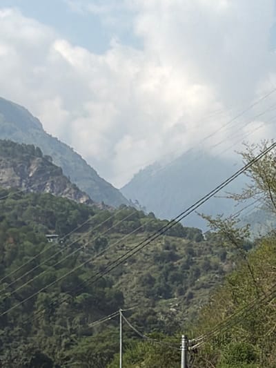 This is a photograph of a mountainous landscape with trees and power lines. The image is oriented vertically. In the foreground, dense green foliage covers the steep slopes of a mountain. Several parallel power lines crisscross the frame, indicating the presence of electrical infrastructure. A utility pole with insulators is visible on the right side of the image. In the background, more mountains are visible, shrouded in a light haze, suggesting a distant view. The sky is overcast with soft, diffused clouds. The overall impression is of a natural, rugged environment with man-made elements integrated into it. The time of day appears to be daytime, given the brightness of the sky, and the weather seems to be partly cloudy or hazy. The scene evokes a sense of a remote or mountainous region. No people or text are visible in the image.
