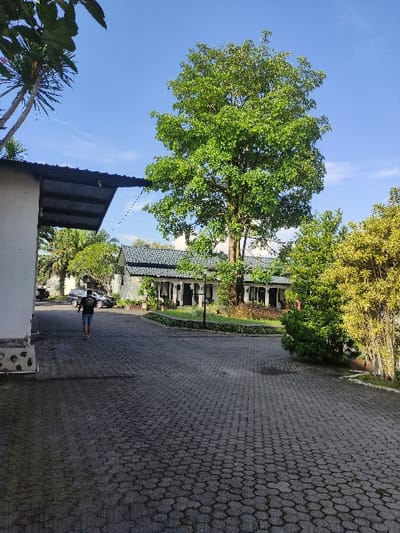 The image shows a paved driveway in Gambiran, Indonesia (latitude: -8.434, longitude: 114.18). The driveway is made of interlocking gray pavers. A single person is walking up the driveway towards the camera. A black car is parked to the left of the person. There is a large tree on the left side of the image. The driveway leads to a building on the right side. There is a large tree in the background. The sky is blue with some clouds. There is a white wall with a black awning on the bottom left side of the image. The image was likely taken on a clear day.