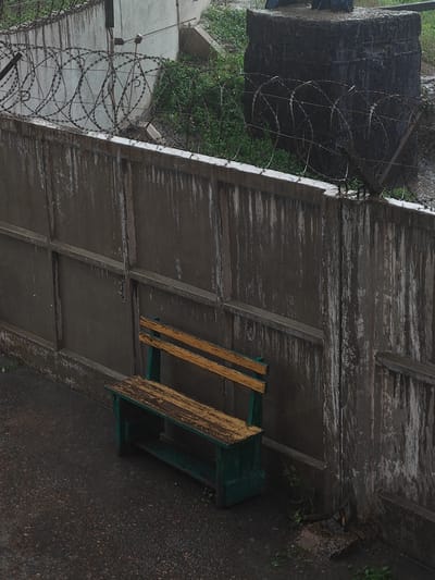 A simple wooden bench, painted green with a weathered yellow wooden seat, sits against a tall, grey concrete wall. The wall has a textured surface with vertical water stains and horizontal grooved panels. Along the top of the wall, barbed wire is stretched taut in a spiral pattern. Behind the wall, overgrown green vegetation is visible, and in the background, a large, dark, rough-hewn stone structure stands partially obscured by the foliage and barbed wire. The ground in front of the bench is dark and appears wet, consistent with recent rain. The scene is set in an outdoor, somewhat desolate environment, possibly an industrial area or a perimeter.