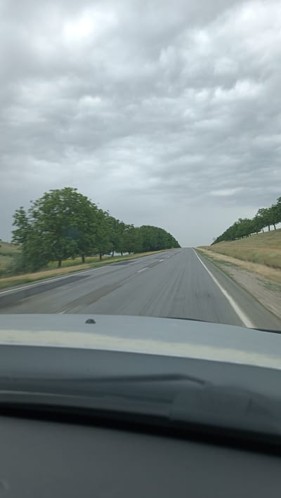 The image shows a view from inside a vehicle, looking forward on a paved road. The road is wet and appears to be two lanes in each direction, with a white line marking the lanes. On the left side of the road, there is a line of green trees. On the right side of the road, there is a grassy embankment with trees visible in the distance. The sky is overcast with grey clouds. The image is taken in the city of Bolțun, Moldova.