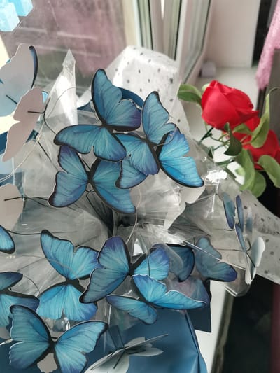 The image shows a close-up view of a bouquet decorated with numerous blue and white paper butterflies. The butterflies are various sizes and are attached to thin wires, giving them a three-dimensional appearance. Some butterflies are positioned in the foreground, while others are further back, creating a sense of depth. The bouquet is wrapped in clear plastic and white dotted paper, with some blue material visible at the bottom. In the background, a single red rose with green leaves is slightly out of focus, adding a contrasting splash of color. The lighting suggests an indoor setting, possibly near a window. There is no visible indication of the city of Kuyagan, Russia, or any specific location.