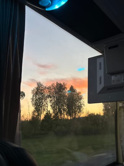 A view from inside a vehicle, possibly a bus, showing an overcast sky with a hint of orange and pink near the horizon, likely at sunset. Trees line the horizon, partially obscuring a field or open area. A monitor or device is mounted above, partially obscuring the view. The location might be Федькино, Russia, given the prompt context.