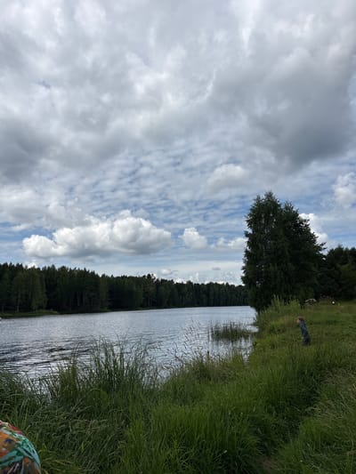 The image depicts a serene lakeside scene in Zaymishche, Russia. The foreground is dominated by tall, lush green grass and reeds along the water's edge. In the middle ground, a calm, reflective body of water stretches across the frame, with a dense forest lining the opposite bank. The forest is a mix of dark green coniferous and lighter green deciduous trees, creating a textured wall of foliage. Towering over the right bank is a tall, slender tree, its branches reaching towards the sky.

In the right midground, a person wearing a dark green hooded jacket and dark pants is standing amidst the tall grass, looking towards the water. Their stance suggests they are observing something or perhaps about to step into the water. In the far left foreground, a portion of another person's clothing is visible, featuring a colorful, abstract pattern, suggesting they are also present at the location. The sky above is filled with a dramatic display of grey and white clouds, some puffy and bright, others darker and more diffused, hinting at a possibly overcast but visually interesting day. The overall impression is one of natural tranquility and a moment of quiet observation by the lake.