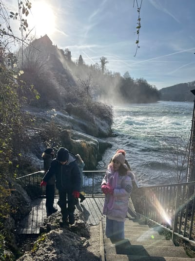 The scene is located at the Rhine Falls in Neuhausen am Rheinfall, Switzerland, on a bright, cold day. A young girl is positioned on concrete steps in the right foreground, wearing a light pink puffer jacket, pink knitted scarf, pink beanie with a pom-pom, and light blue trousers with matching pink mittens. Her gaze is directed slightly to the left. To her left and slightly behind, a young boy in a dark blue puffer jacket, dark trousers, and red gloves is descending a rocky section of a path adjacent to the steps. Two additional individuals are partially visible further back on the path, one wearing a dark coat and the other a light blue coat. A black metal railing runs along the path, separating it from the turbulent, white-capped waters of the Rhine River, which churns vigorously. The riverbank to the left of the path is rocky and covered in frosted, sparse vegetation, indicating low temperatures. Mist rises significantly from the powerful waterfall, creating a hazy effect over the water and adjacent landscape. In the distant upper left, Laufen Castle stands atop a cliff, partially obscured by the mist and bright sunlight. The sky is clear with multiple visible contrails. Bright sunlight from the upper left casts strong illumination across the scene and produces a lens flare effect in the lower right and mid-right areas of the image.