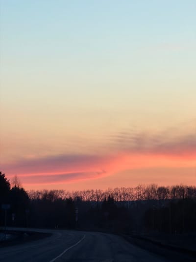 The image shows a sunset sky in Gory, Russia. The sky transitions from light blue on the left to orange and pink near the center, where a thick band of reddish-purple clouds is present. To the right, a dark treeline forms the edge of a forest or park. A section of road with a white dividing line is visible in the lower right corner.