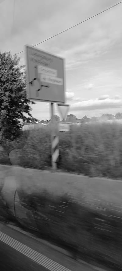 A motion-blurred, black and white image captures a roadside view in Schwaikheim, Germany. A traffic sign, partially obscured by blur, indicates directions. It features arrows pointing left and right, with text that is difficult to decipher due to the motion. Below the main sign, a triangular warning sign with a red border is visible. A striped pole, likely a marker or guardrail, stands near the signs. The surrounding environment consists of vegetation and a cloudy sky. The foreground shows a portion of a road with white lines.