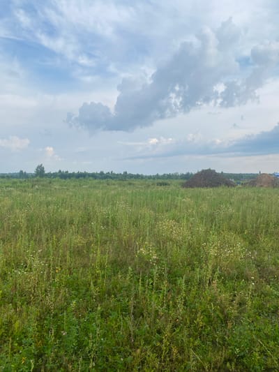 The image depicts an outdoor scene in the city of Zavolzhsky, Russia. The foreground is dominated by a field of tall, green grass and wildflowers, with various plants and some dry stalks visible. In the middle ground, there are two large piles of dirt or soil, suggesting ongoing construction or landscaping work. Beyond the piles, a line of trees forms the horizon, with a single, taller tree standing out on the left side of the frame. In the far background, several structures, including what appears to be a house with a blue roof and a chimney, are partially visible amidst the trees. The sky above is filled with a mix of white and gray clouds against a pale blue background. The overall environment suggests a rural or semi-rural setting within Zavolzhsky.