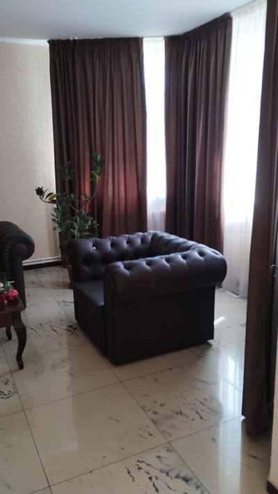 The image shows a dimly lit room with a dark brown tufted leather armchair in the foreground. The armchair has a high back and arms. To the left, a portion of another dark brown armchair is visible, and a dark wooden side table with a pink floral arrangement sits in front of it. A large potted plant with green leaves is placed behind the armchair in the foreground. The room features light-colored walls and a tiled floor with a marble-like pattern. In the background, large brown curtains cover windows, with lighter sheer curtains visible behind them. The scene appears to be an interior space, possibly a waiting room or living area, within the city of Khmilnyk, Ukraine.