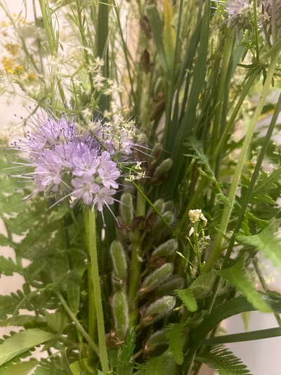 The image displays a close-up, vertical shot of a bouquet of wild flowers. The primary subject is a cluster of delicate, pale purple flowers with long, thin stamens, positioned on the left side of the frame. These flowers are surrounded by a variety of green foliage, including ferns and grass-like stems. Several elongated, fuzzy, green seed pods are visible in the center and right of the image. Tiny white flowers are interspersed throughout the bouquet. The lighting is soft and diffused, suggesting an indoor setting. The background is blurred and light-colored, emphasizing the floral arrangement. There is no indication of a specific location within Негарэльскі сельскі Савет, Belarus, as the image focuses exclusively on the flowers.
