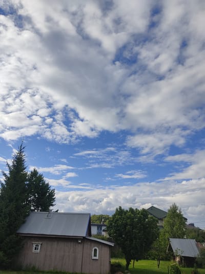 The image depicts a residential scene in Veshki, Russia, under a dynamic sky with scattered white clouds and patches of blue. In the foreground, a long, weathered wooden building with a corrugated metal roof dominates the left side of the frame. This structure has two visible windows: one small, square window with a white frame on the left side, and another arched window with a white frame to its right. Adjacent to the wooden building and to its left is a tall, dark green coniferous tree.
Further into the scene, a larger, modern house with a green, gabled roof is visible among a cluster of lush green trees. To the right of this house, a smaller, rustic wooden structure with a corrugated metal roof, resembling a shed or outbuilding, can be seen. The environment is characterized by a well-maintained green lawn, suggesting a suburban or rural setting. The overall impression is one of a tranquil summer day in a residential area.