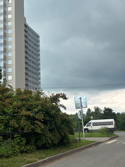 A white minibus is parked on the side of a road in Kuzmolovskiy, Russia, near a tall, modern apartment building. The sky is overcast with dark clouds. In the foreground, a dense, green bush with red berries is visible, bordered by a black metal fence. A road with a curb and grassy verge is in the lower right of the image. Traffic signs are present near the minibus and in the background, a line of trees can be seen.