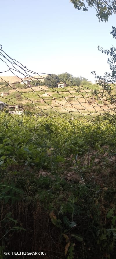 The image depicts a landscape scene in Qaynar MFY, Uzbekistan, under a clear sky. In the foreground, a dark, loosely woven net spans the lower portion of the frame, obscuring the view of vegetation. Behind the net, dense green plants, possibly a garden or field, are visible. Further in the background, a gently sloping hill is covered with dry, golden grass and sparse green vegetation. Several small, simple structures, possibly houses or sheds, are scattered across the hillside. The overall impression is of a rural or semi-rural environment. The bottom left corner of the image contains a watermark identifying the device as "TECNO SPARK 10c".