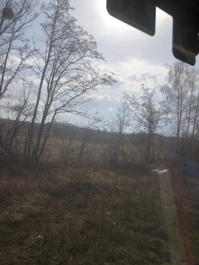 The image depicts an outdoor, rural landscape in Steinbourg, France, observed through a reflective surface, likely a vehicle window. The sky is partially cloudy with a light blue hue and scattered white cumulus clouds. A prominent light source, consistent with the sun, is positioned in the upper right, causing significant glare and lens flare effects in the upper and lower right portions of the frame.

The foreground consists of dry, brown, and yellowish-green dormant vegetation, indicative of grass and sparse undergrowth. Beyond this, a light brown field, possibly fallow agricultural land, extends into the midground. A line of numerous deciduous trees, mostly bare-branched, is silhouetted against the sky. These trees vary in height, with taller specimens on the left and a denser concentration of smaller trees and shrubs in the mid-right. A dark, spherical object, consistent with a bird's nest or mistletoe clump, is visible in the upper branches of a tree on the far left. Trees with lighter bark, possibly birches, are present on the far right.

In the upper right corner, a dark, indistinct structural reflection or physical object is visible. Below this, an inverted, semi-transparent reflection of the text "ISSU" is discernible on the viewing surface. Bright light streaks and flares are present in the lower right and mid-right, consistent with reflections or light passing through glass. No people or animals are present, and no specific actions or interactions are depicted. The overall environment suggests a natural, undeveloped or agricultural area during late winter or early spring.