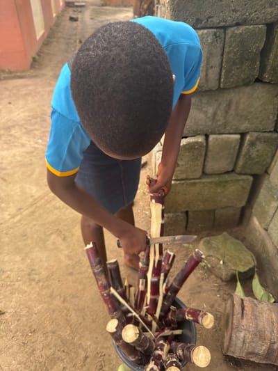 A person, viewed from above, is standing outdoors and preparing sugar cane stalks. The person is wearing a blue t-shirt with a yellow trim and dark shorts. They are holding a knife in their right hand and using it to peel a sugar cane stalk. A bucket filled with cut sugar cane stalks is positioned in front of them on the ground. The ground appears to be dirt. In the background, there is a wall made of large, weathered stones. To the left of the frame, a portion of a building with a pink facade and yellow trim is visible. The scene is likely in Ganyingbo, Nigeria, based on the environment and the activity.