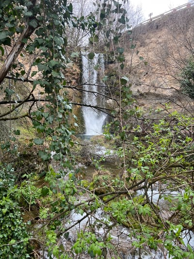 A vertical landscape photograph depicts the Veliki Buk waterfall (Lisine) in Despotovac Municipality, Serbia, viewed through dense foreground vegetation. The waterfall, characterized by white, turbulent water, descends a light brown, eroded limestone cliff face in the midground, pooling at its base before forming a stream that flows diagonally from left to right. The immediate foreground is heavily overgrown with intertwined bare and budding deciduous branches, alongside prominent dark green ivy vines featuring lobed leaves, partially obscuring the lower portions of the scene and the stream. A section of a dark wooden structure or bridge is visible through the foliage on the stream's right bank. Atop the cliff in the background, a reddish-brown metal railing and a white rectangular sign with red markings are observable, suggesting an elevated access point. The sky is overcast. No individuals or animals are visible; the environment is a natural, heavily vegetated setting with water as the central active element.