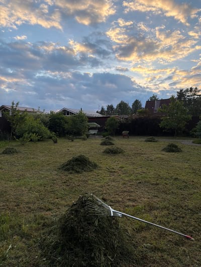 The image depicts a suburban backyard in Kerro, Russia, during the late afternoon or early evening. The sky is filled with dramatic clouds, some illuminated by the setting sun with golden and white hues, contrasting with darker grey clouds. The foreground features a freshly mown lawn with several large piles of grass clippings scattered across it. A metal rake, with a red handle accent, rests on the largest pile of clippings on the right side of the frame. In the middle ground, more piles of clippings are visible, along with a red wheelbarrow filled with grass. A green swing set is partially visible behind some bushes. The background reveals several houses with peaked roofs, surrounded by dense trees and shrubs. The overall scene suggests a recent lawn maintenance activity taking place in a residential area.