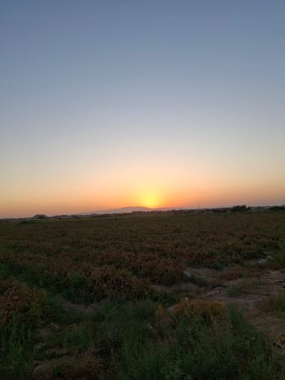 The image depicts a rural landscape at sunset, possibly in Utmayli, Uzbekistan. The sky transitions from a clear, pale blue at the top to warm hues of orange and yellow near the horizon where the sun is setting behind a range of distant, silhouetted mountains. In the foreground, a field of low-lying vegetation, appearing somewhat dry and reddish-brown in places with patches of green grass, covers the majority of the image. The terrain is uneven, with visible sandy or dirt patches interspersed among the plants. In the far distance, a few structures and what appear to be trees or shrubs are faintly visible against the darkening landscape. The scene is serene and appears to capture the natural beauty of the countryside during twilight. There are no people or animals present in the frame.