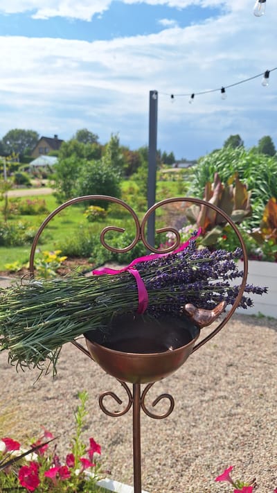 In the foreground of this image, a copper bird feeder stand is prominently displayed, featuring a heart-shaped decorative element at the top. A bundle of fresh lavender, tied with a vibrant pink ribbon, rests within the bird feeder's bowl. A small copper bird perches on the edge of the bowl, facing left. The background depicts a lush garden setting with various plants, flowers, and trees under a partly cloudy blue sky. In the distance, a residential building and greenhouses are visible. The scene is set in Flokši, Latvia.