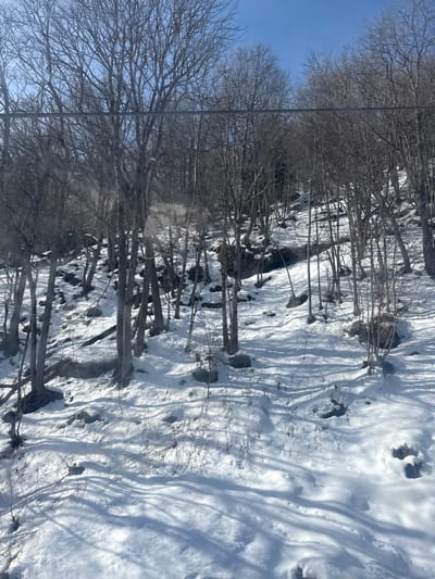 This image presents a serene winter landscape located in Alagna Valsesia, Italy, under a bright, clear blue sky. The scene is dominated by a dense array of deciduous trees, mostly bare of leaves, with their intricate branch patterns stretching across the frame.
The ground is heavily blanketed in pristine white snow, which reflects the bright sunshine. Long, distinct shadows of the trees are cast across the snow, indicating a clear, sunny day, likely morning or early afternoon. These shadows add depth and texture to the snowy terrain, revealing subtle contours of the ground. Through the snow, darker patches of rocks or exposed earth are visible. A narrow, dark stream or creek, possibly partially frozen, winds horizontally through the mid-ground of the snow-covered area, adding a dynamic element to the otherwise static scene.
No people or animals are visible, contributing to the quiet and untouched feel of the natural environment. The overall atmosphere is one of cold tranquility and the stark beauty of a winter forest. A faint, thin horizontal line, possibly a power line or a reflection/scratch on the camera's lens or window, can be seen traversing the upper portion of the image. There is no visible text in the media file.